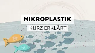 "Mikroplastik" kurz erklärt - Schaebens