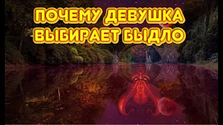 Не будь хорошим парнем для девушки. Они любят плохих