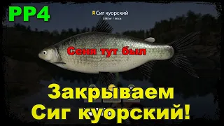 Русская рыбалка 4 Сиг Куорский!