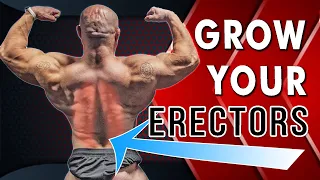 Tips For Spinal Erector Growth