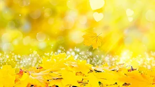 Осенний фон - осенние кленовые листья, блестки, сердечки, боке - футаж для видео монтажа.
