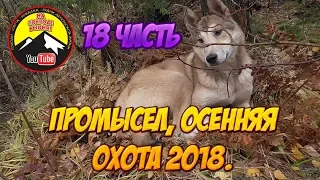 Прошли две вырубки /Промысел 2018 👉18 часть/