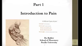 Pain: Part 1. Intro to Types of Pain