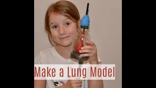 Model of a lung - Make a lung model with a balloon