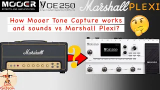 Mooer GE 250: how tone capture procedure works and sounds vs a Marshall Plexi