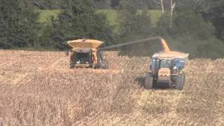 CAT Lexion 595R Harvesting Corn Up Hill