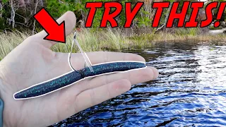This WILL CHANGE The Way you Fish A Wacky Rig FOREVER!