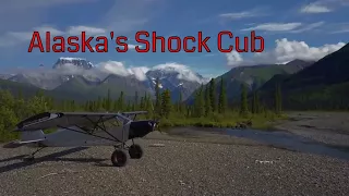 Alaska's Shock Cub and the mountains