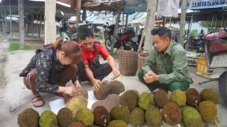 Renovating,repairing a spacious pig barn,I harvested ripe jackfruit,brought it to the market to sell