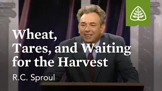 Wheat, Tares, and Waiting for the Harvest: Communion of Saints with R.C. Sproul