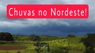 Chuvas no Nordeste, vamos acompanhar novos registros! #chuva #nordeste #sertão