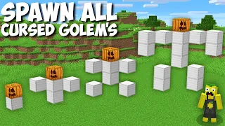 Never SPAWN THIS CURSED GOLEMS in Minecraft ! NEW STRANGEST GOLEM SPAWN !