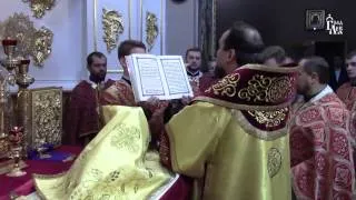 Тезоіменитство Високопреосвященного митрополита Димитрія. Божественна Літургія