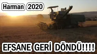 HARMAN 2020 || Efsane Geri Döndü! John Deere-630 Buğday Biçiyor / New Holland TD75D Buğday Taşıyor!