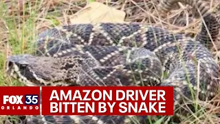 Amazon driver in Florida bitten by rattlesnake while on delivery