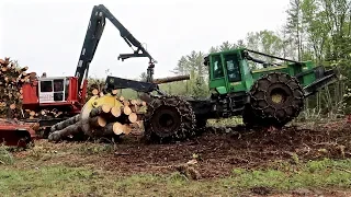 Logging 4 Acres of Old Pasture to Make It New Again (from Start to Finish)