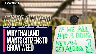 EXPLAINED: Thailand Legalises Cannabis, Government Encourages Citizens To Grow It Under Regulations