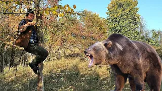 A VAZUT MOARTEA CU OCHII! ATACAT DE O URSOAICA IMENSA,CIOBANUL MARIN CHIOJDEANU,SALVAT DE CAINI.