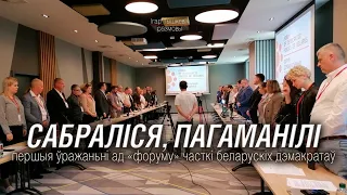 Сустрэліся й пагаманілі. Уражаньні ад "форуму" часткі дэмакратычных сілаў у Варшаве