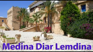 🇹🇳 Medina Diar Lemdina Hammamet Tunisia OK-TV