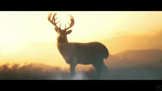 Red Dead Redemption 2 - deer video mix