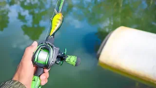 Catching GIANT Bass in SMALL Ponds (Bank Fishing)