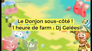 [DOFUS RETRO] Le donjon sous-côté - 1 heure de farm donjon Gelées