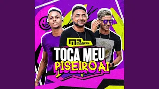 Toca Meu Piseiro Ai (Remix)