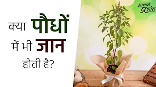 क्या पौधों में भी जान होती है? #shorts