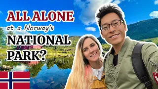 All Alone at a Norway's National Park? | 4K Hiking in Rondane Mountains | Road Trip Vlog
