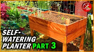 Build a Stunning & Functional Self-Watering Wooden Planter Box (Part 3)