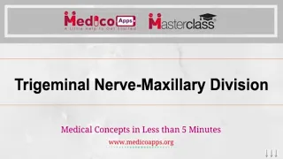 Live Class on Trigeminal nerve-Maxillary Division by Dr Suguna