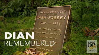 Dian Fossey Remembered