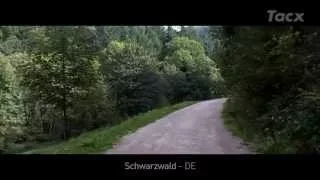 Schwarzwald - Germany  T1956.49