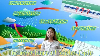 The Importance of Water Cycle | Grade 4 Science | Quarter 4, Week 3