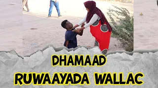 Ruwaayad Walac & Wareer DHAMAAD 2024