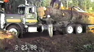 David Hull's 1974 Peterbuilt Logging Truck Hauling One Log Load at Glenbrook.