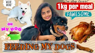 HOW I FEED MY DOGS🍗🐾❤️|Madhugowda| |Dogs|