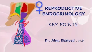 Female Reproductive Endocrinology  - Key points