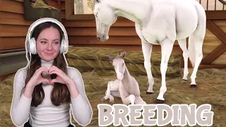 BREEDING AND BUYING PURE WHITE HORSES - Rival Stars Horse Racing | Pinehaven