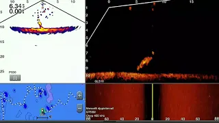 Tommy Blomander fångar en fin gös med Garmin Panoptix Livescope.