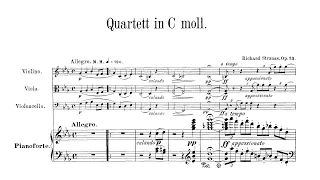 Richard Strauss - Piano Quartet in C Minor, Op. 13