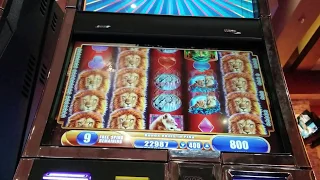 Nice King of Africa Bonus Win