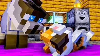 CAT LIFE FULL MOVIE - Episode 1 - Minecraft Animation