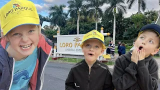 Loro Parque | Лоро Парк на Тенерифе. Дети счастливы!