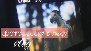 типа влог: ФОТОСЕССИЯ для лошадей schleich