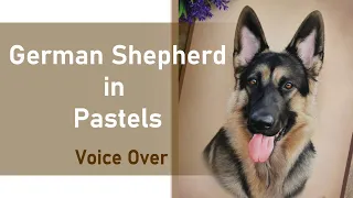 GERMAN SHEPHERD DRAWING IN PASTELS | Voice Over | Pastel tips & techniques