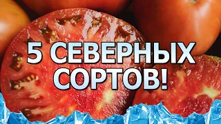 5 СЕВЕРНЫХ СОРТОВ!