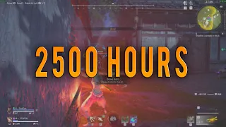 2500 Hours of Naraka: Bladepoint (Highlights)