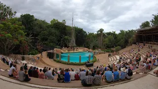 Sea Lion Show Jungle Park Tenerife